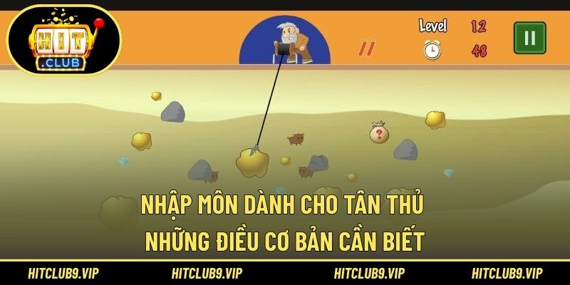 Nhập môn dành cho tân thủ những điều cơ bản cần biết