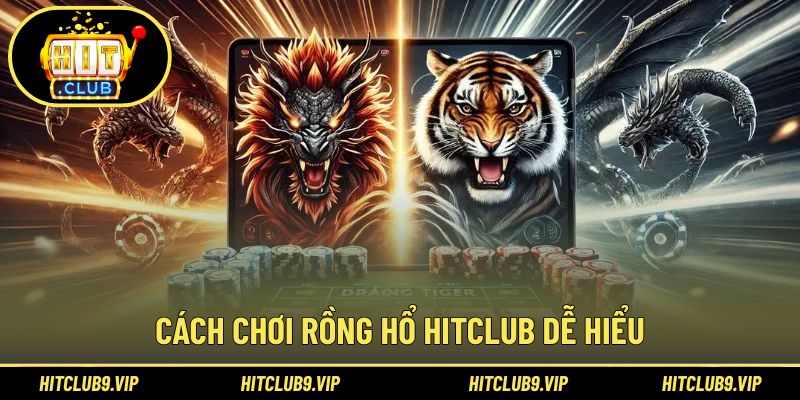 Hướng dẫn luật cơ bản dành cho người mới