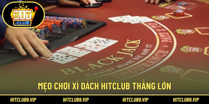 Kinh nghiệm giúp người mới nâng cao hiệu quả cá cược