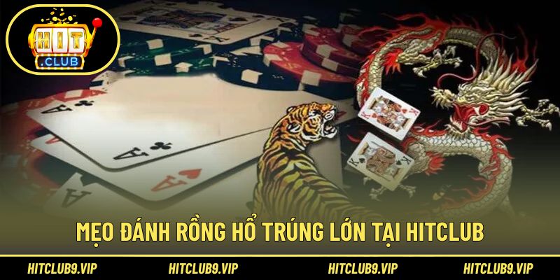 Kinh nghiệm hiệu quả thường được hội viên áp dụng