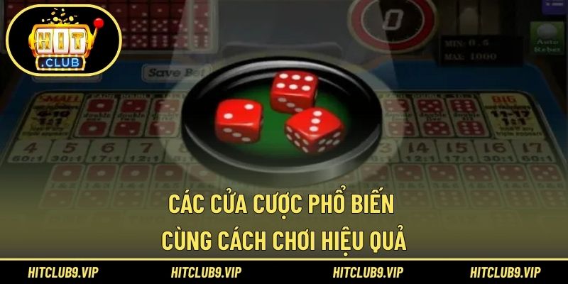 Các cửa cược phổ biến cùng cách chơi hiệu quả