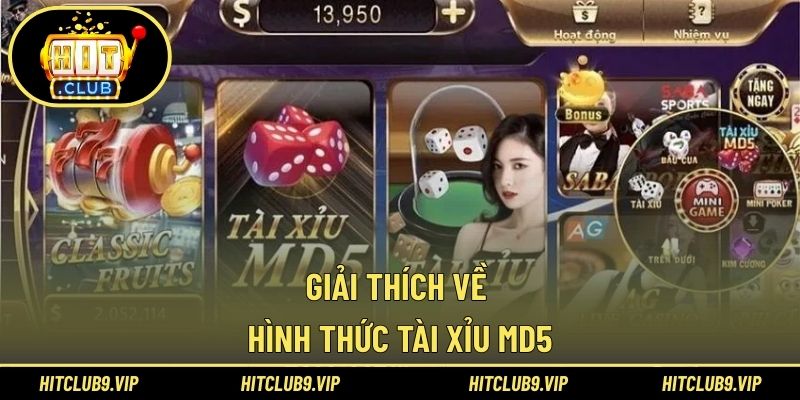 Giải thích về hình thức tài xỉu MD5