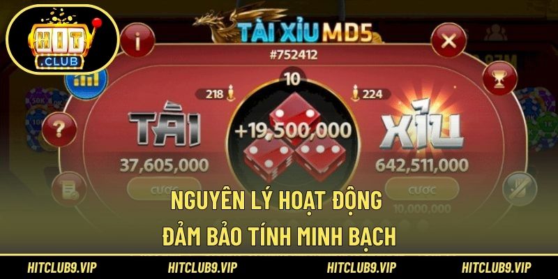 Nguyên lý hoạt động đảm bảo tính minh bạch